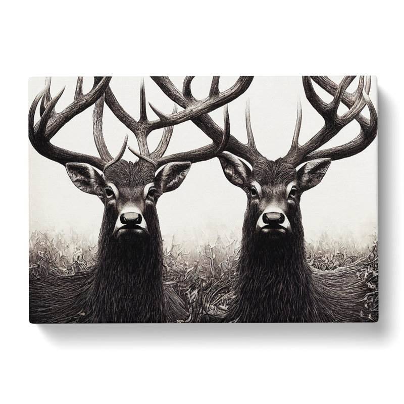Enchanting Stags - Wrapped Canvas, 35cm H x 50cm W x 3cm D