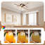 LED Ceiling Light 4-Light, 42.5 cm
