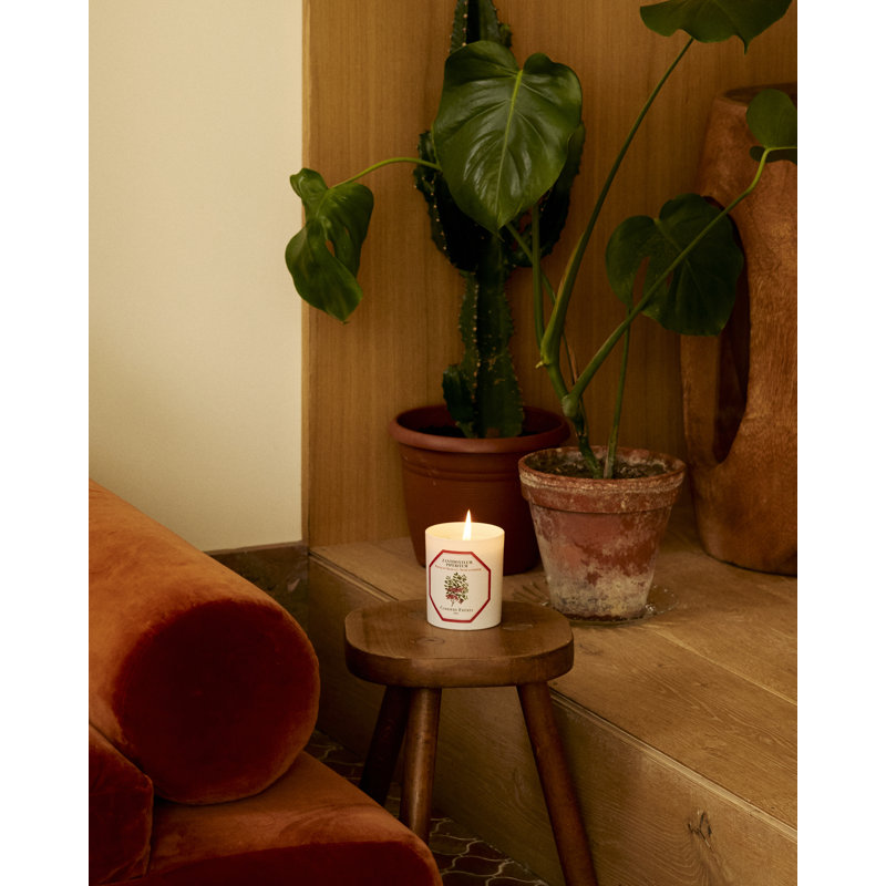Sichuan Pepper Candle