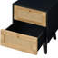 Anisjon & Rattan 2 Drawer Bedside Table-1317511962