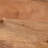 Eugenia Transitional Mango Wood Round C-Shaped Side Table