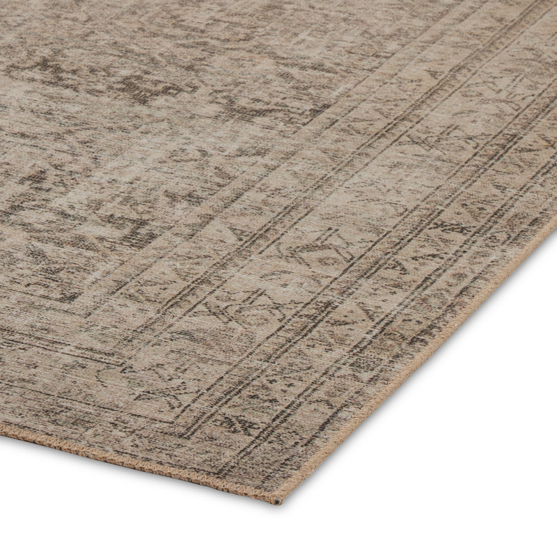 Nala Southwestern Area Rug in Natural/Light Brown, Rectangle 10' x 14'