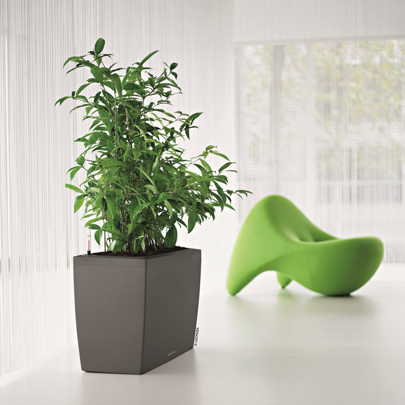 Cararo Pot Planter, Charcoal Metallic