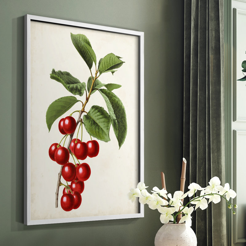 Antique Fruit II, reproduction encadrée - bois massif, H 20 po x l 16 po, Blanc