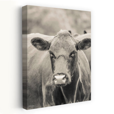 «Brown Cow Say Cheese», art contemporain
