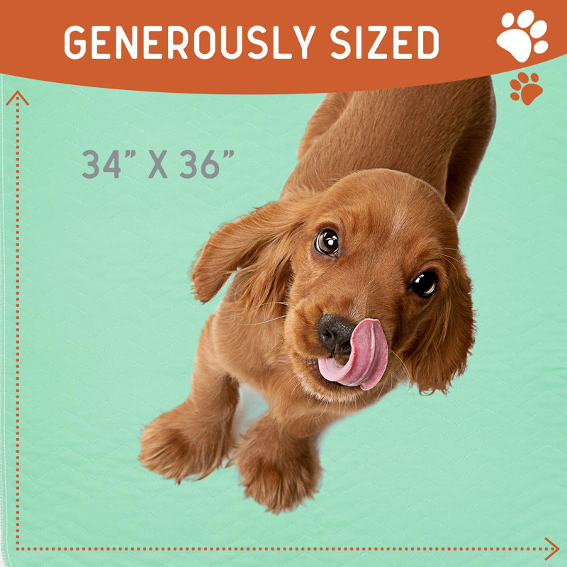 Tapis pour chien réutilisable
