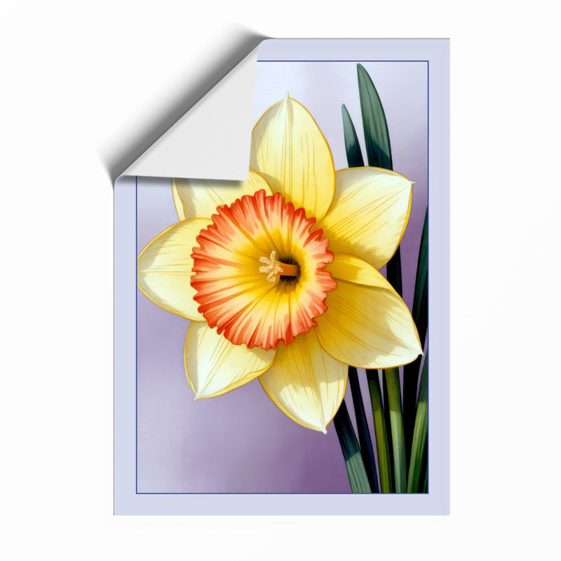 Daffodil Study Botanical - Framed Print, A4 - 29.7 x 21.0 cm, Unframed