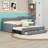 Upholstered Daybed with Trundle and 1 Drawer-182853727-182853720