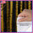 Golden Birch Trees Duvet Covers-128002401