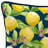 16" x 16" Outdoor Throw Pillow with Welt-99895936