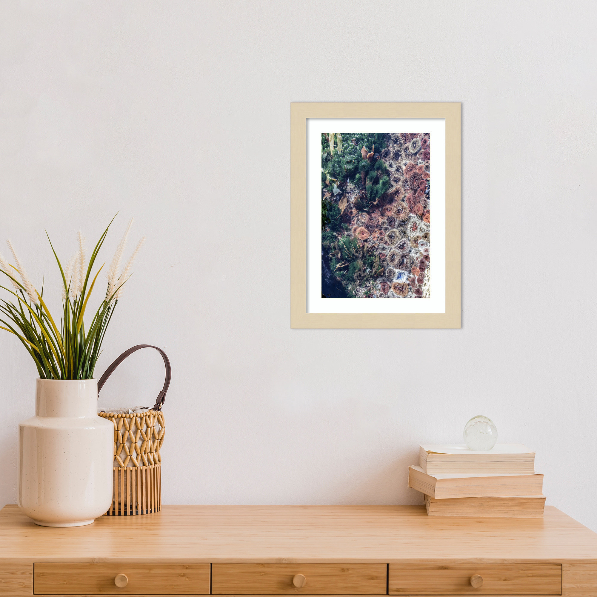 Ocean Curiosities by Shot by Clint Wood Framed Wall Art Print, Brown, 13" H x 10" W