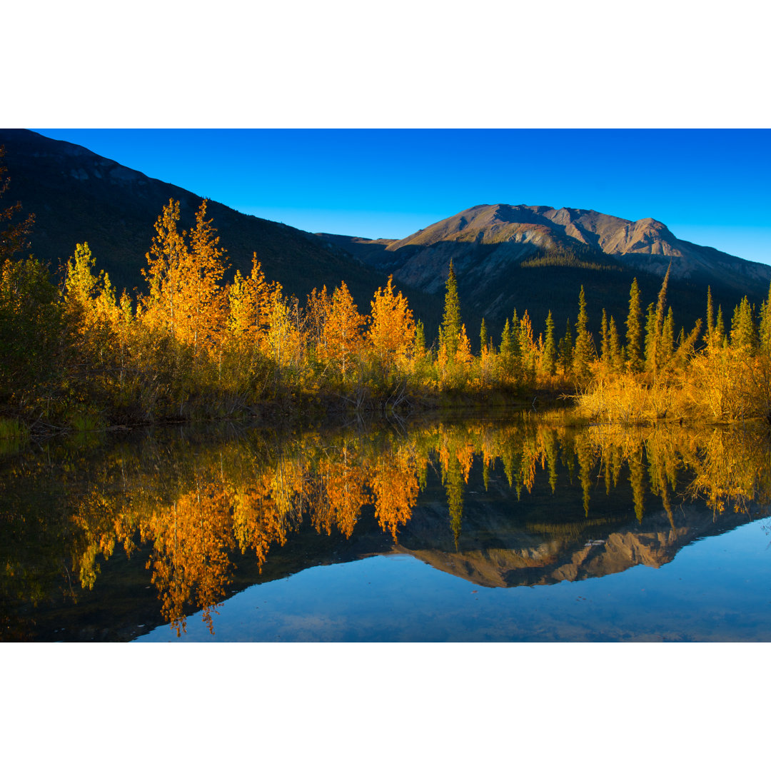 Alaska Landschaft von Manta - Kunstdrucke auf Leinwand