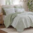 3- Piece Full/Queen Print Quilt Set