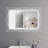 Contemporary Rectangle Wall Mirror