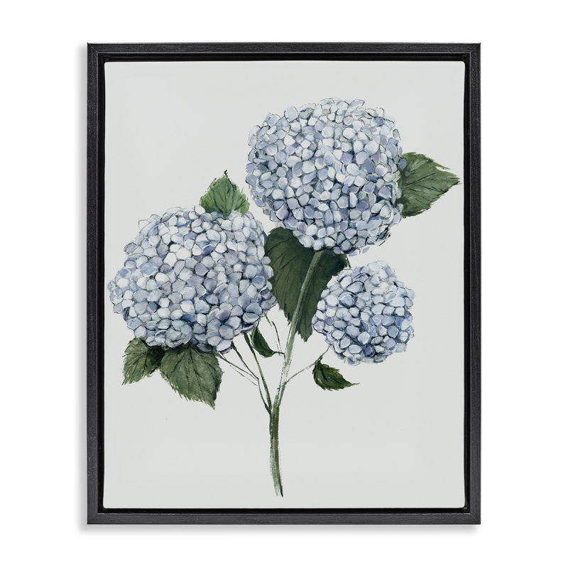 «Hydrangea Bulb Trio», art mural encadré noir sur toile flottante, design par Hannah Dawson, 31" H x 25" W