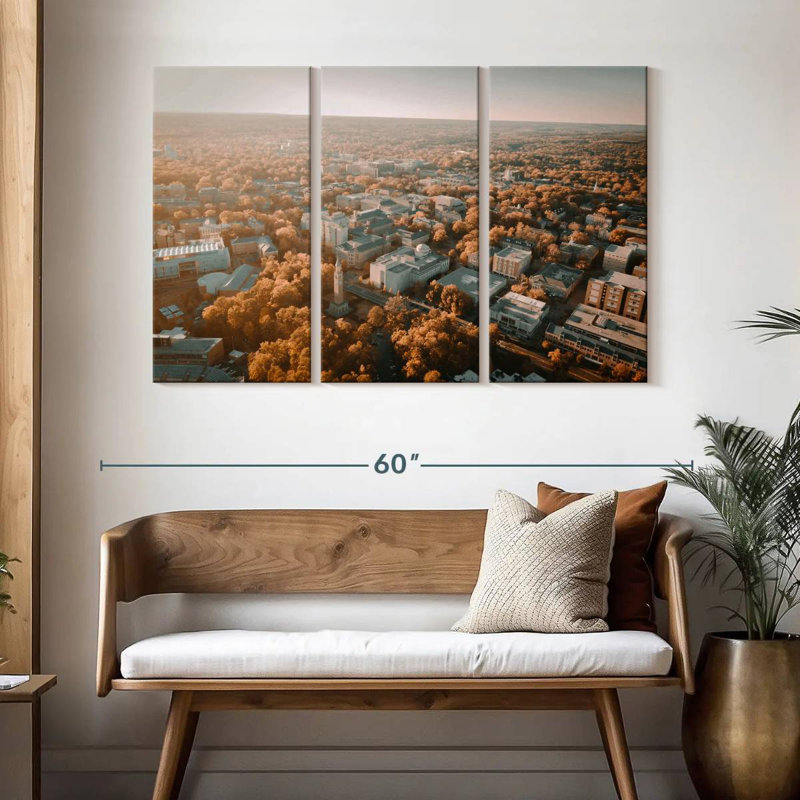 Senne UNC Campus Aerial View, 32" H x 50" W