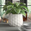 Edison Handmade Pot Planter