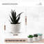 14 cm H Faux Bonsai Succulent Plant-1369708914
