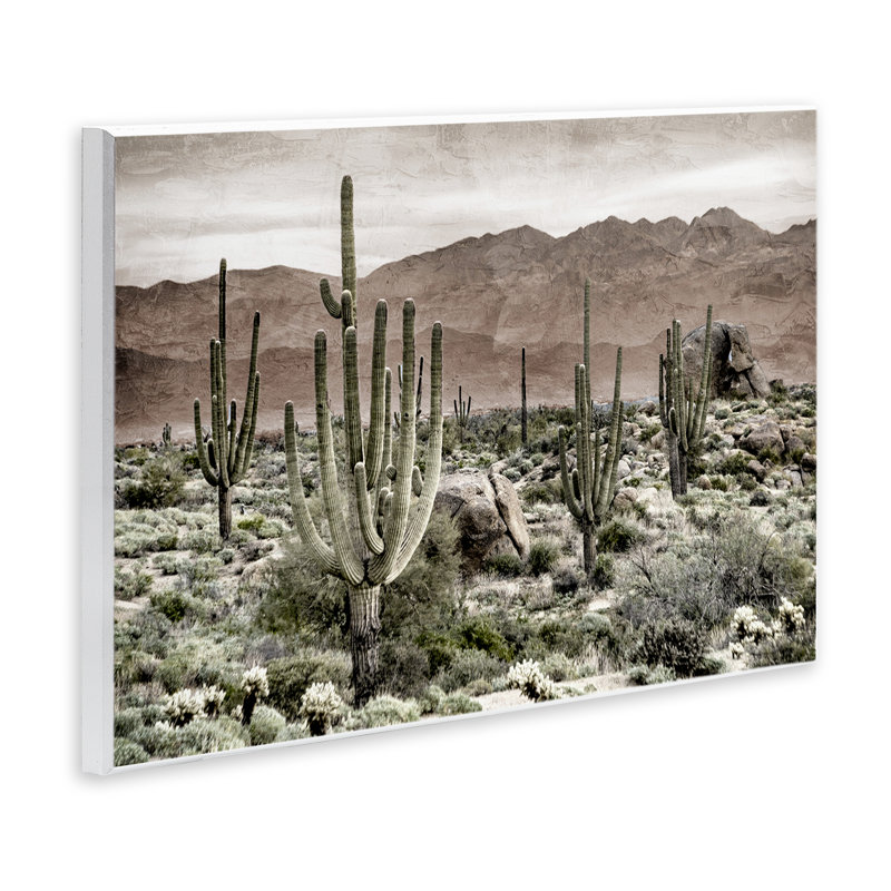 Plaque murale désert, cactus, par Kim Allen, H 10 po x l 15 po