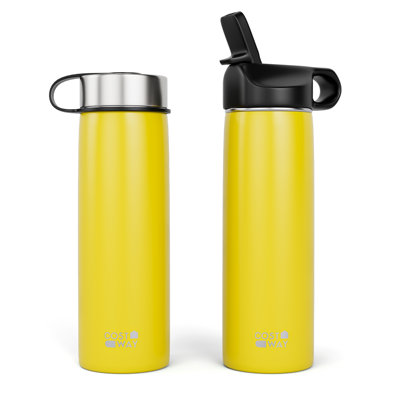 Costway 22oz. Double Wall Insulated Stainless Steel Water Bottle