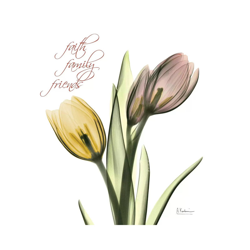 Faith Tulips by Albert Koetsier - Wrapped Canvas Print, 45.72 cm H x 45.72 cm W x 3.175 cm D