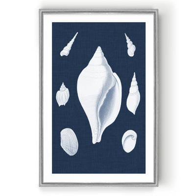 « coquillages blancs ii », impression sur toile
