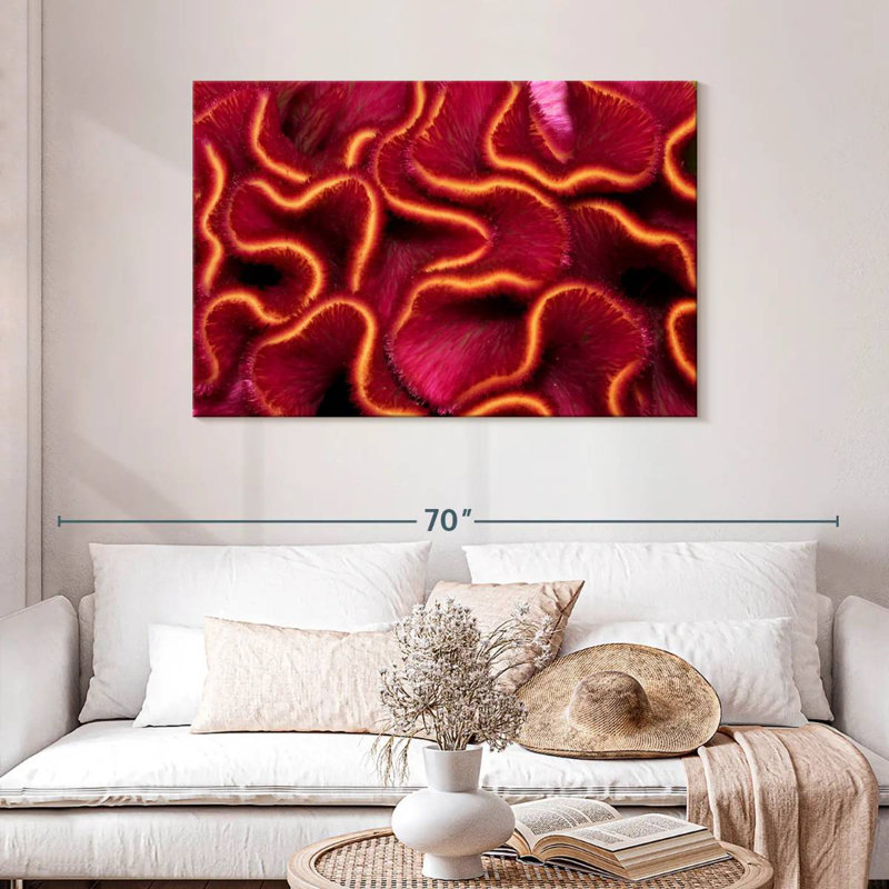 Corail rouge Brampt, H 30 po x l 45 po