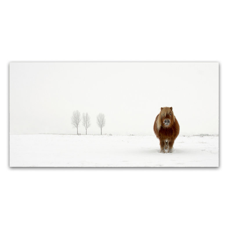 Art mural sur toile tendue - «The Cold Pony» de Gert Van Den pour décoration de salon, de chambre à coucher ou de bureau - 24 x 47
