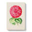 Bright Pink Camellia Flower Illustration - Wrapped Canvas-55304538