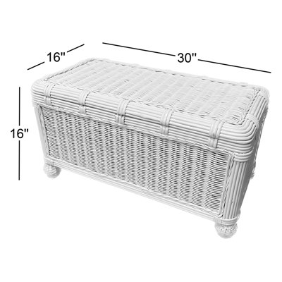 Ciotti Wicker Trunk