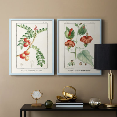 «Turpin Tropical Botanicals III», reproduction encadrée de qualité supérieure - prête à être accrochée - aucun clou requis - aucun clou requis