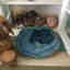 Customer photo 1 of 2