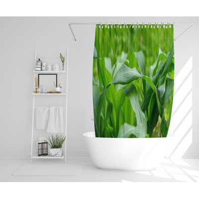 Elizabeth-Jane 13 Piece Polyester Shower Curtain Set