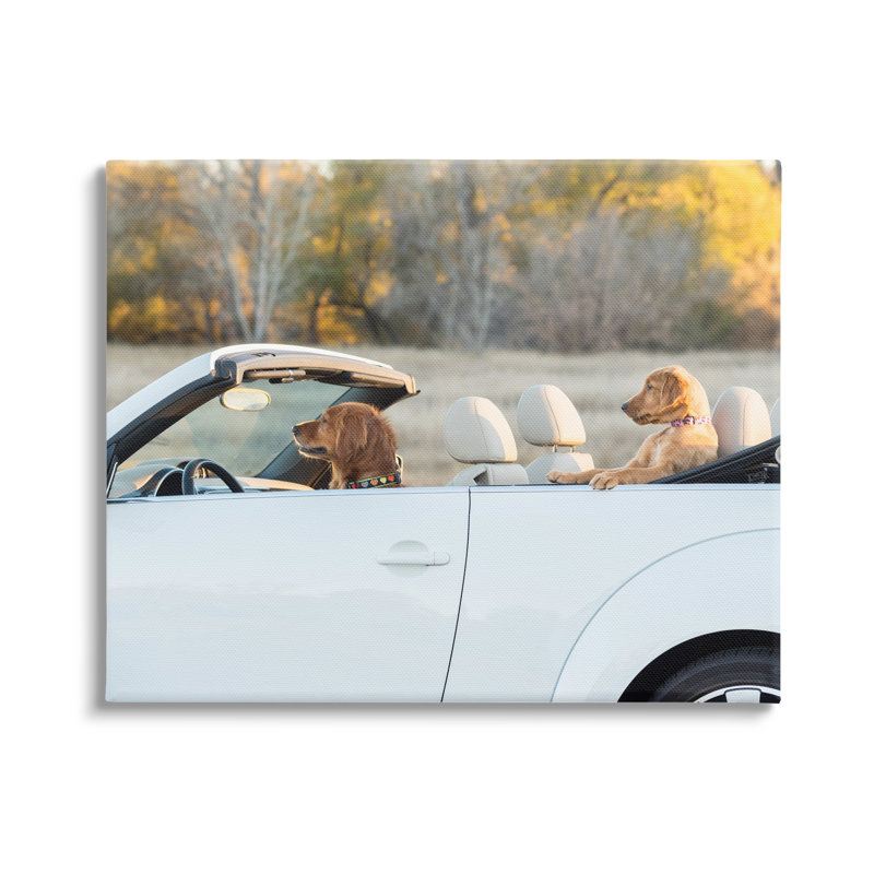 Chiens au volant convertible par Karen Hoglund, H 16 po x l 20 po x P 1,5 po