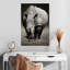 Rhinocéros africain blanc Brampt-108231545