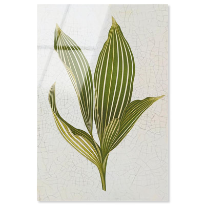 Impression sur toile «Aged Botanica II» par Art Remedy