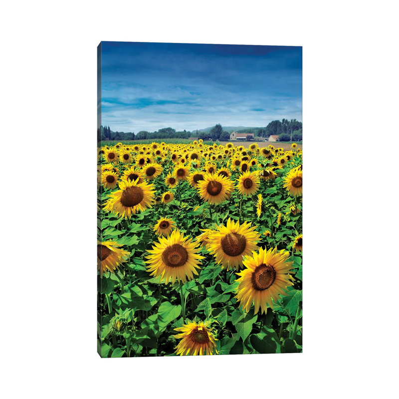 Turn Your Face To The Sun by Ben Heine - Print on Canvas, 30.48 cm H x 45.72 cm W, Wrapped Canvas