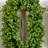 12'' Faux Boxwood Plant