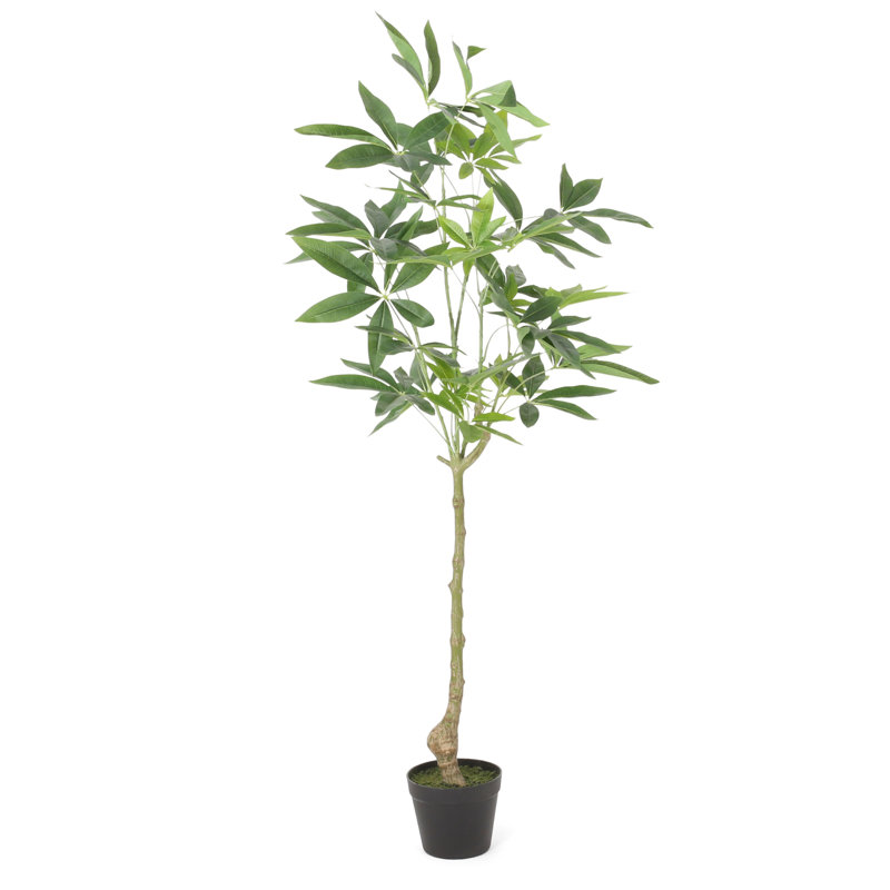  Arbre artificiel artificiel Pachira Macrocarpa, H 47,20 po x l 23,60 po