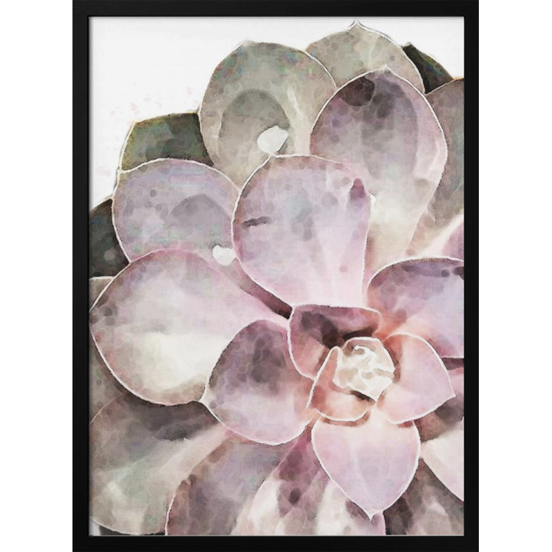 «Succulent Gros plan», art mural texturé encadré, Noir, H 14 po x l 10 po