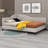 Museville Upholstered Daybed Bed-1877844314