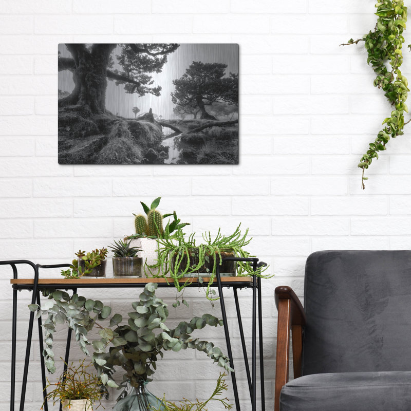 «Black & White Fanal» par Martin Podt, H 12 po x l 16 po