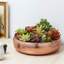 Metal Pot Planter-271348620