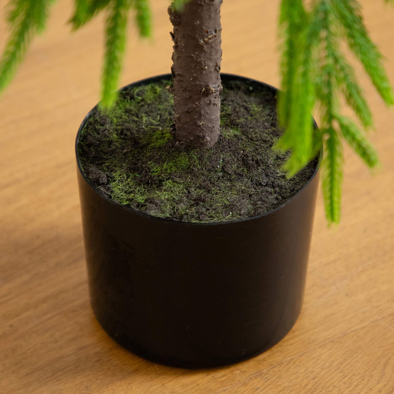 4Ft. Artificial Real Touch Down Swept Norfolk Pine Tree With Natural Look, 3" H x 14" W x 6" D