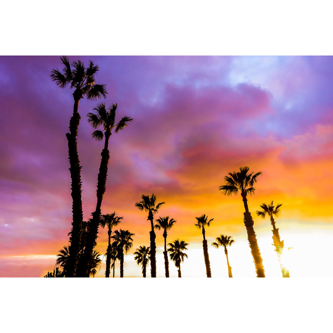 Silhouette Of Palm Trees - Wrapped Canvas Print