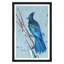 Blue Jay 3 Print by PC Ngo-1597885284-1597885285