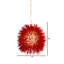 Mini-luminaire suspendu 1 lumière Urchin - noir-1894329259-2003702592