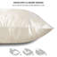 Laperle Sham-1348926348