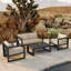 Avion 4 Piece Sofa Seating Group with Sunbrella Cushions-1190556051-1102537356-1195366020