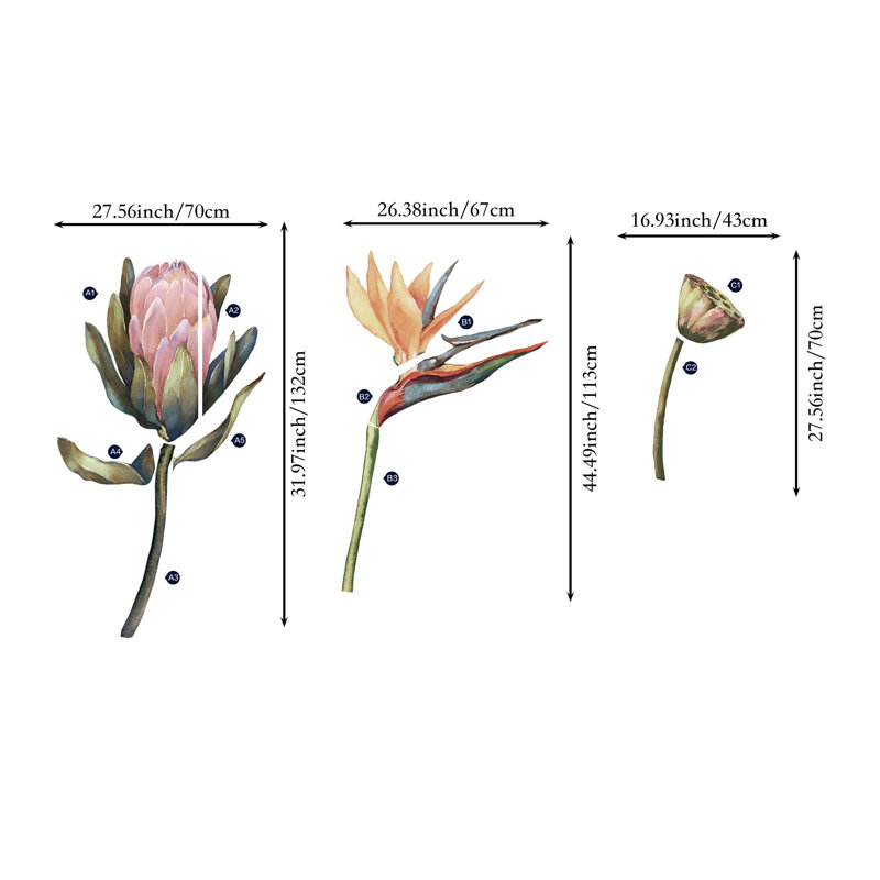 Adhésif décoratif plantes et fleurs Protea